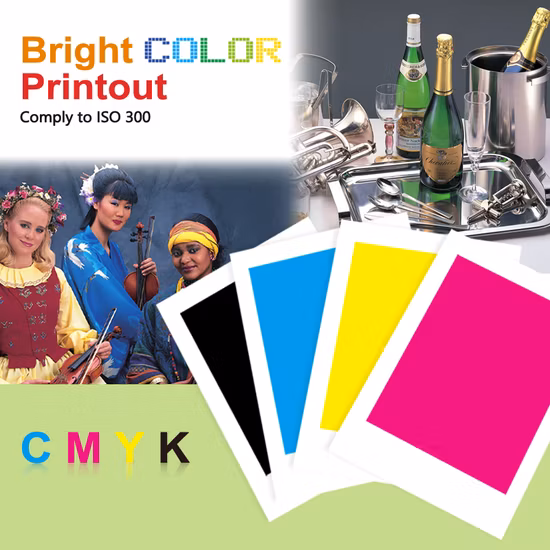 Ink-Tank T702XL 702XL 702 XL T702 Cartucho de tinta de inyección de tinta compatible con color premium para impresora Epson Workforce PRO Wf-3720 Wf-3730